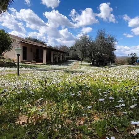 Agriturismo Bio Pian Dei Casali 사투르니아 외부 사진