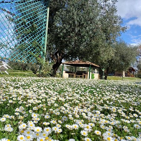 Agriturismo Bio Pian Dei Casali 사투르니아 외부 사진