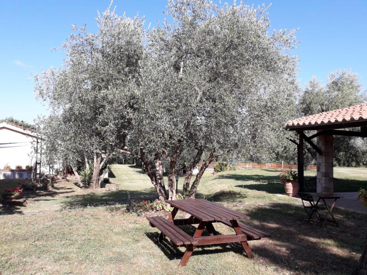Agriturismo Bio Pian Dei Casali 사투르니아 외부 사진