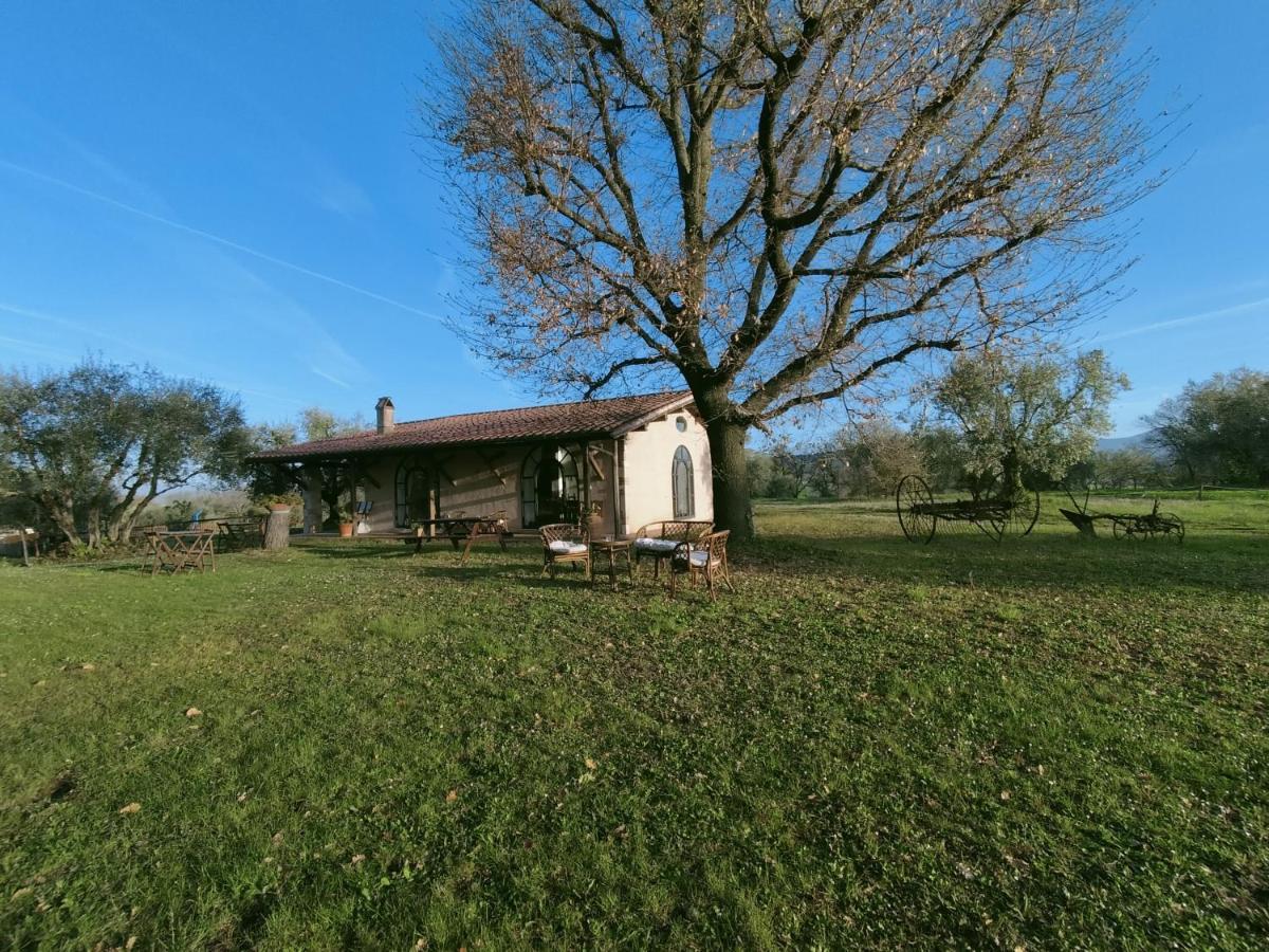 Agriturismo Bio Pian Dei Casali 사투르니아 외부 사진