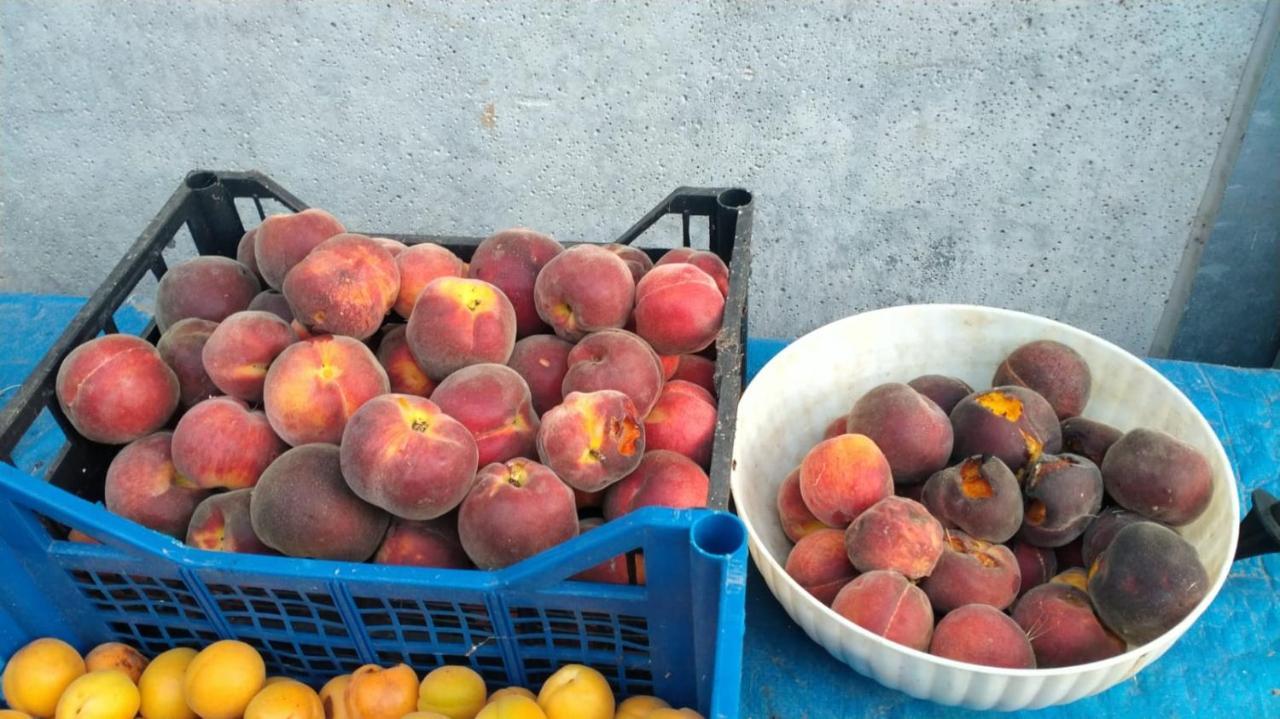 Agriturismo Bio Pian Dei Casali 사투르니아 외부 사진