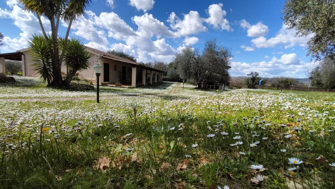 Agriturismo Bio Pian Dei Casali 사투르니아 외부 사진