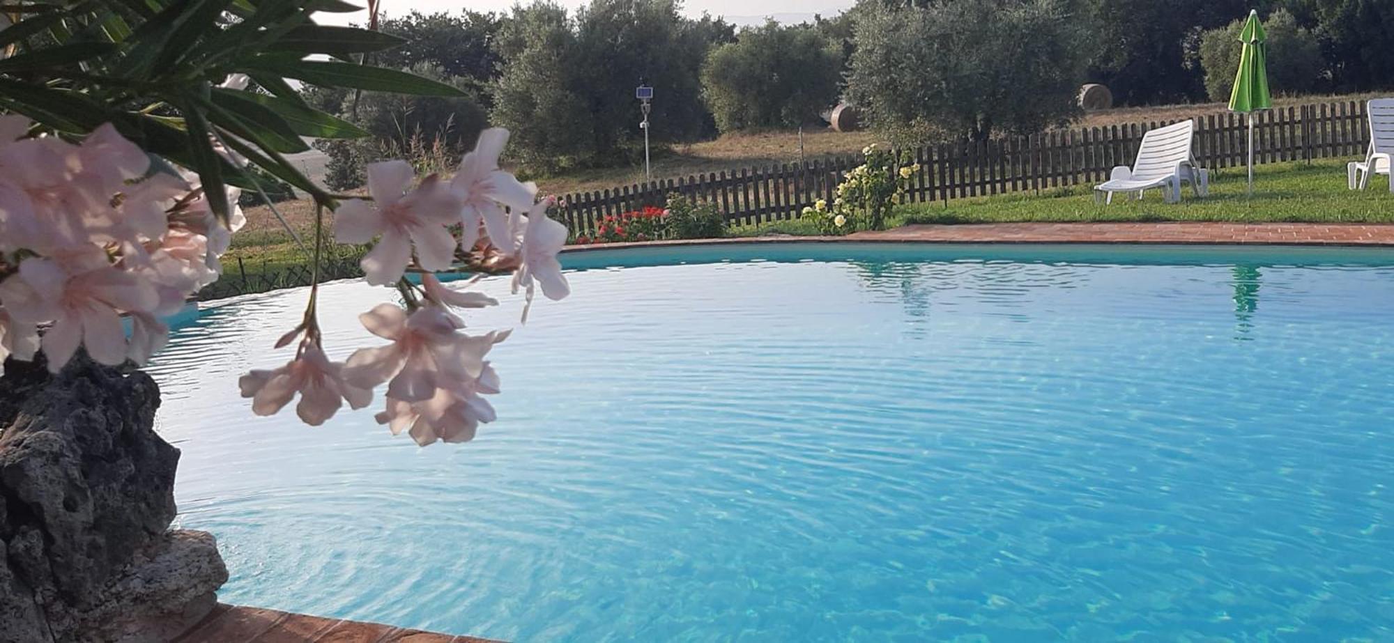 Agriturismo Bio Pian Dei Casali 사투르니아 외부 사진