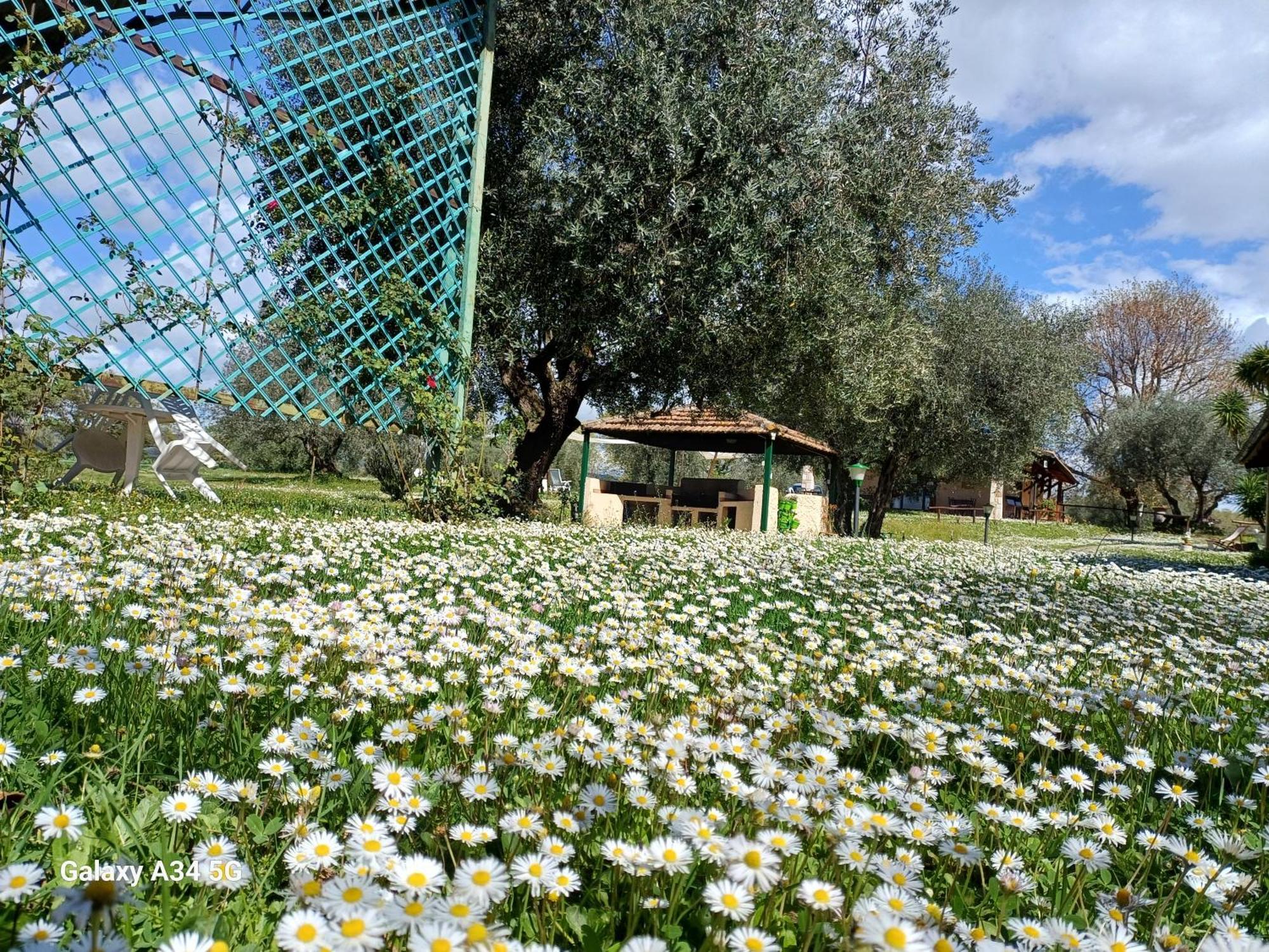 Agriturismo Bio Pian Dei Casali 사투르니아 외부 사진