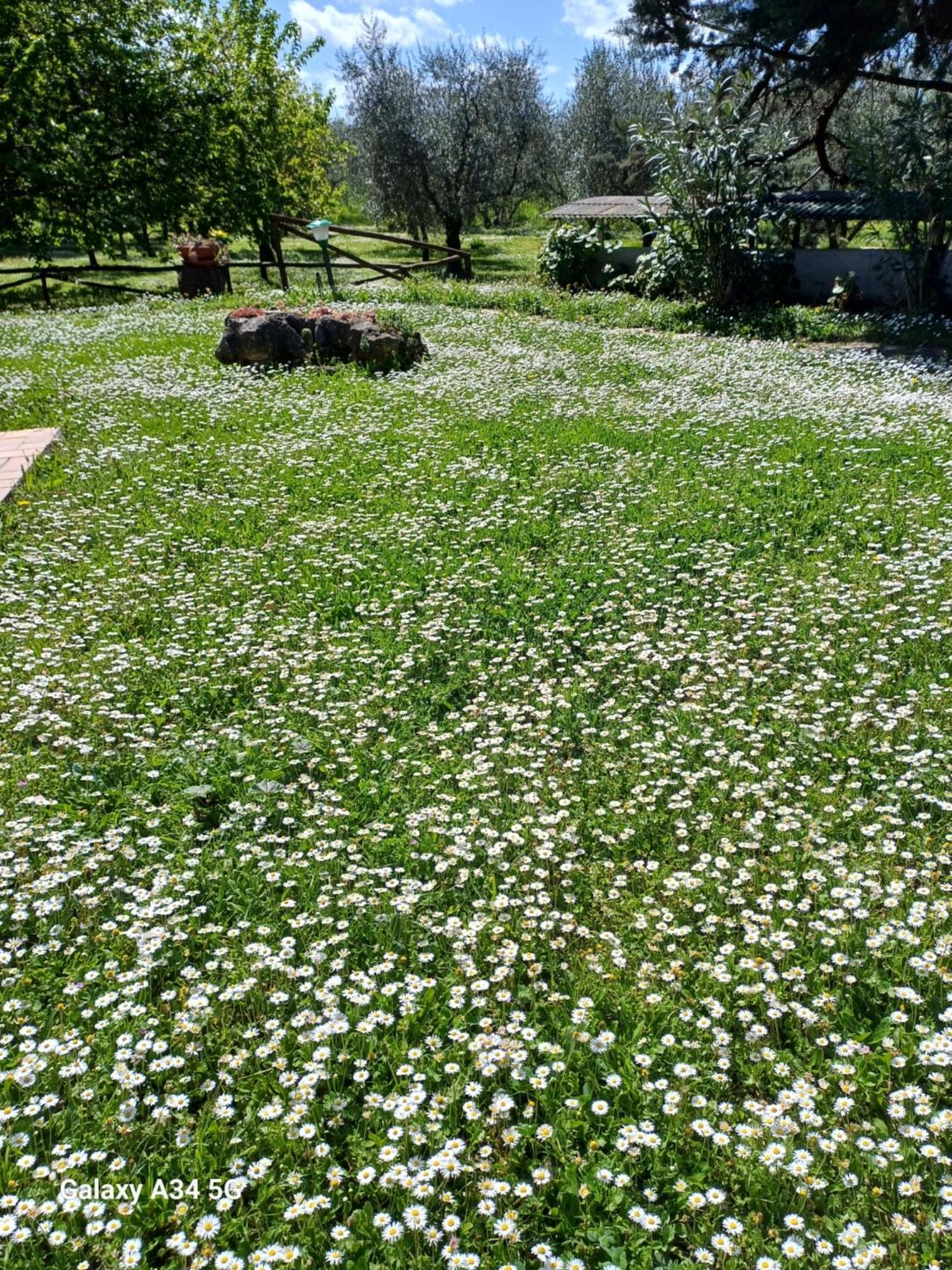 Agriturismo Bio Pian Dei Casali 사투르니아 외부 사진