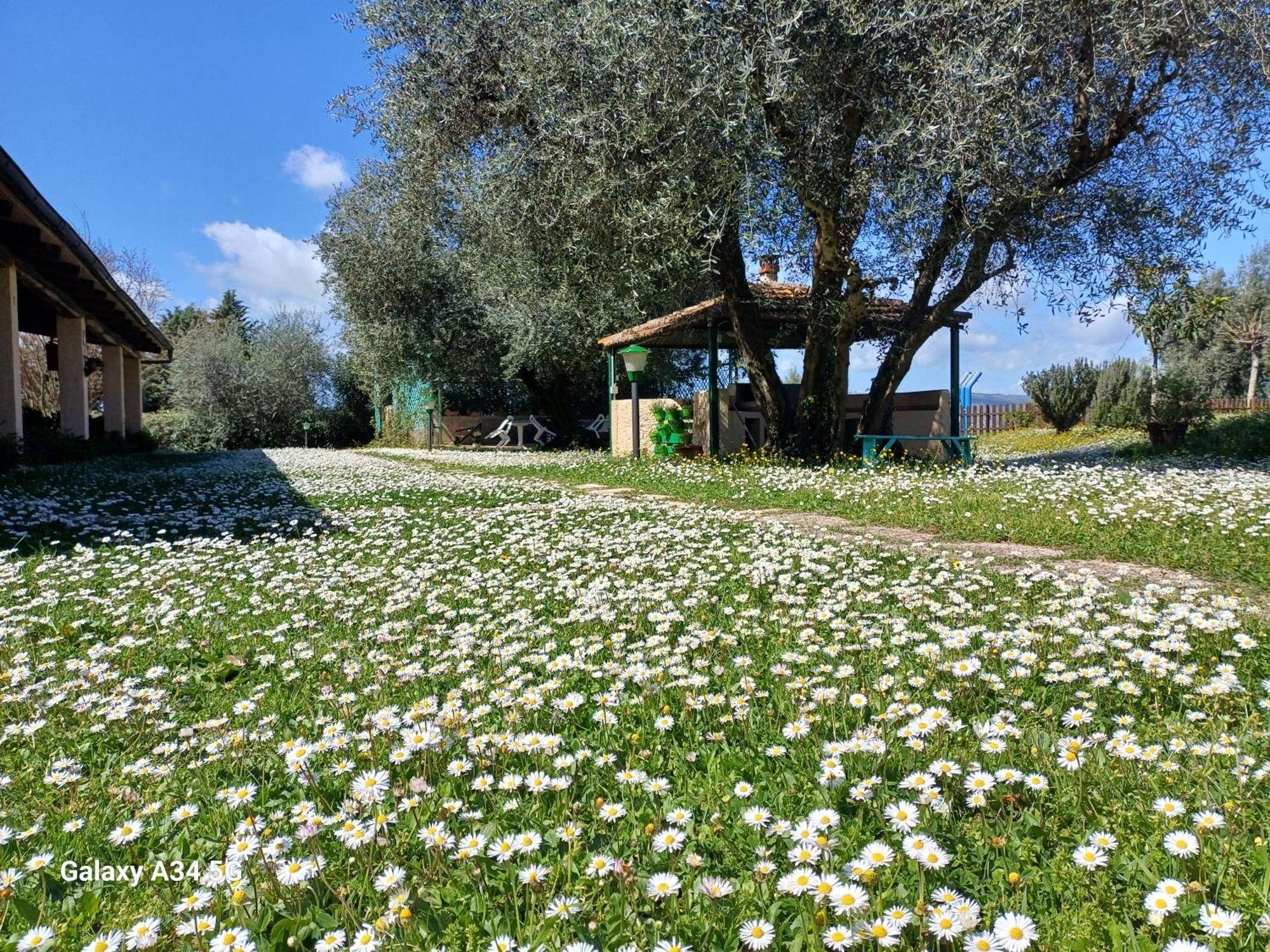 Agriturismo Bio Pian Dei Casali 사투르니아 외부 사진