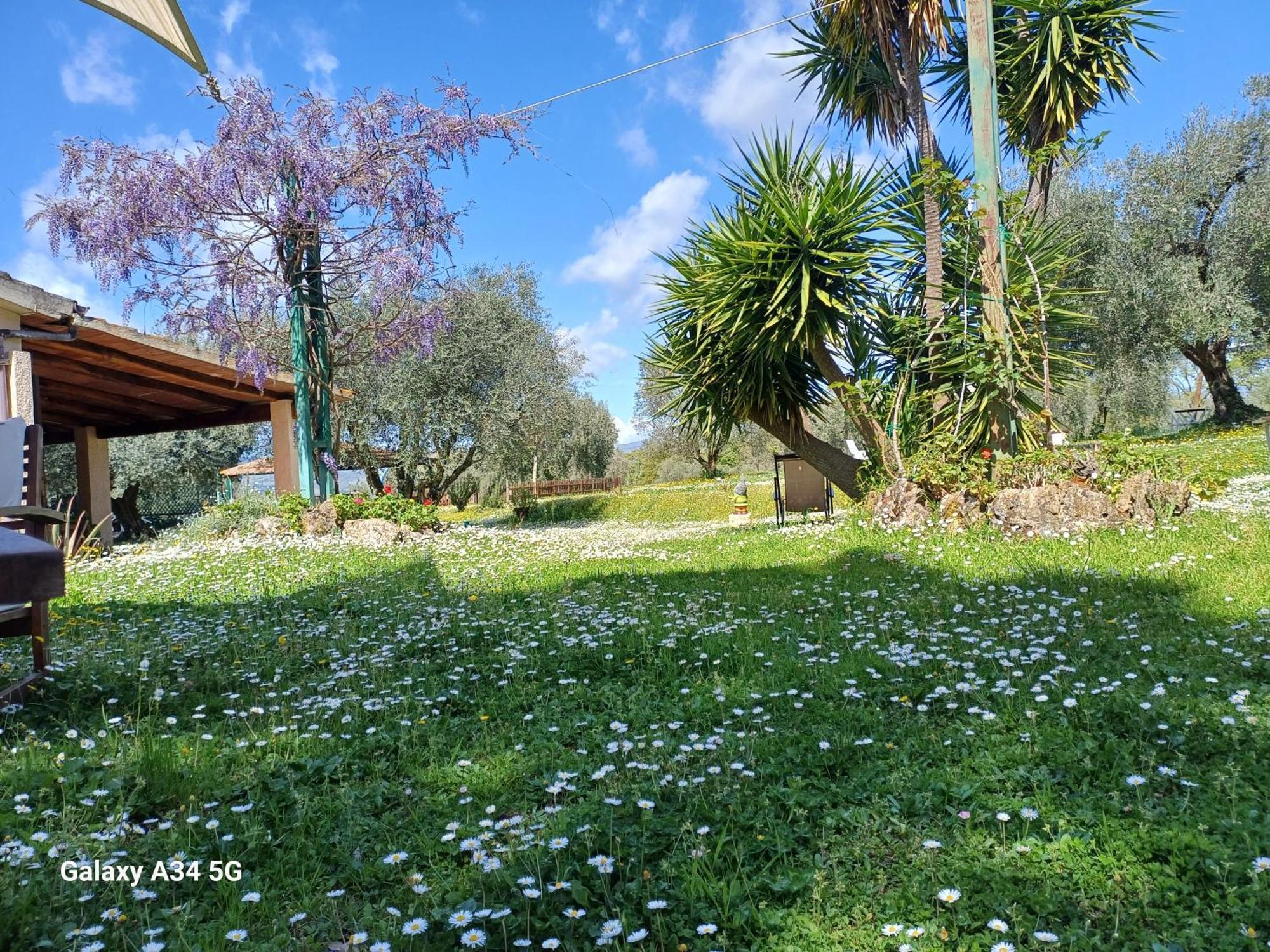 Agriturismo Bio Pian Dei Casali 사투르니아 외부 사진