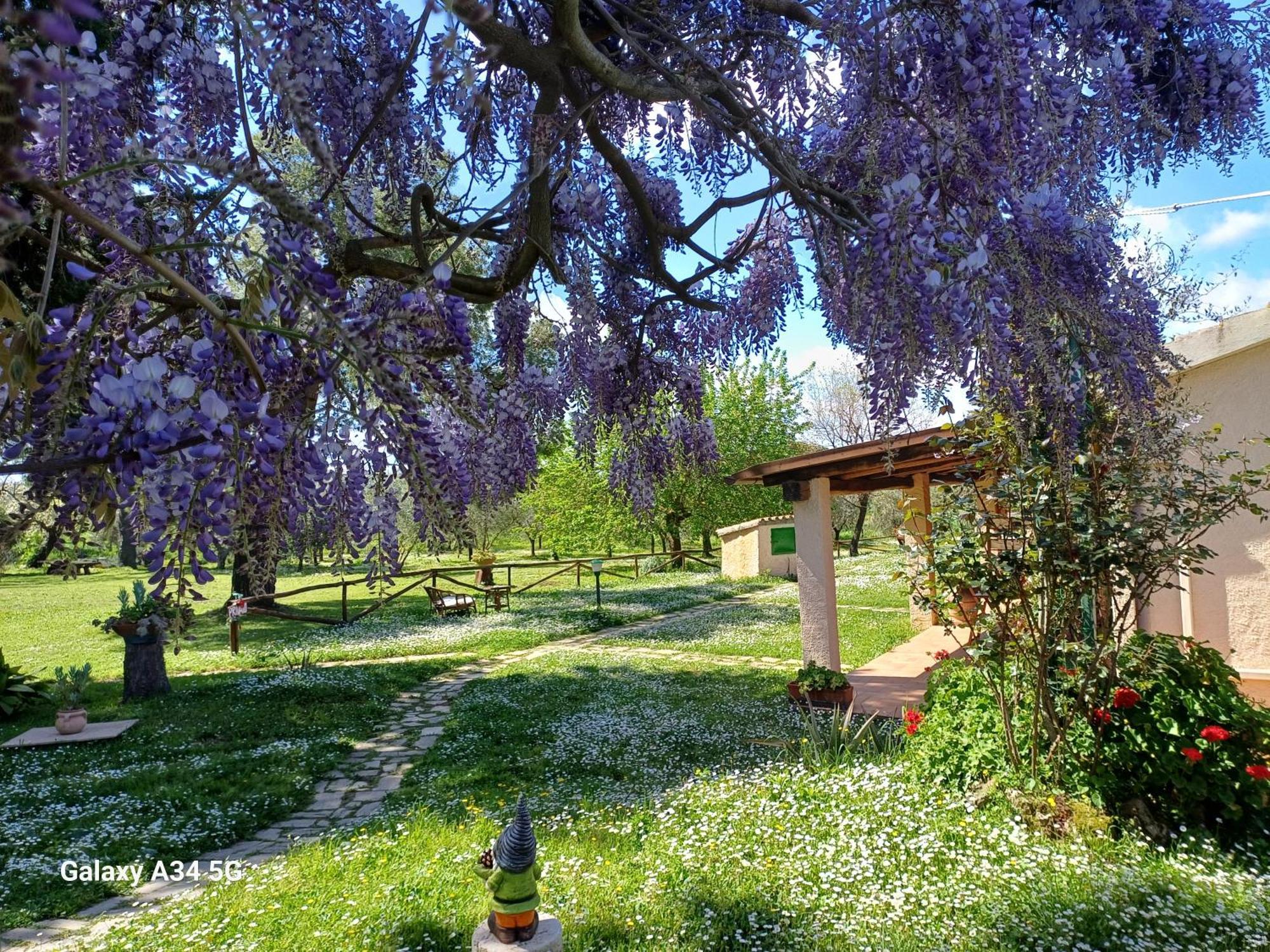 Agriturismo Bio Pian Dei Casali 사투르니아 외부 사진