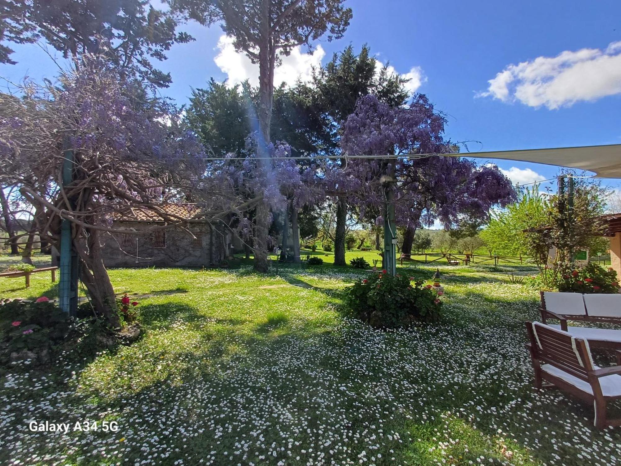Agriturismo Bio Pian Dei Casali 사투르니아 외부 사진